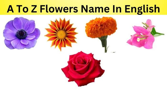 Flowers Name In English